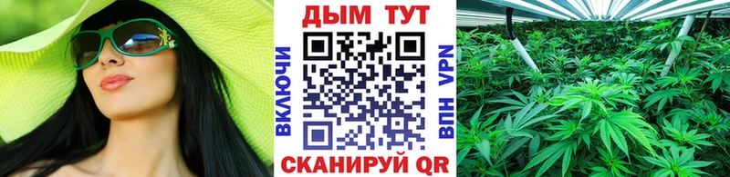 Магазины продажи наркотиков Далматово Alpha PVP Каннабис Меф мяу мяу Галлюциногенные грибы ГАШ