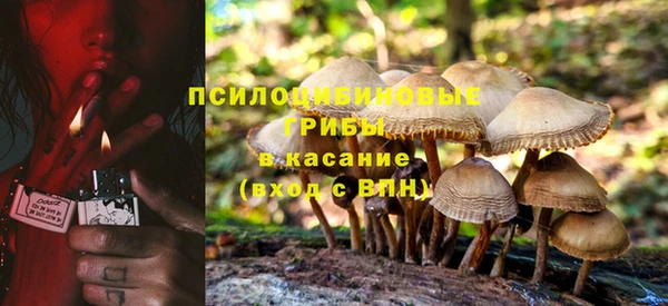 2c-b Верхнеуральск