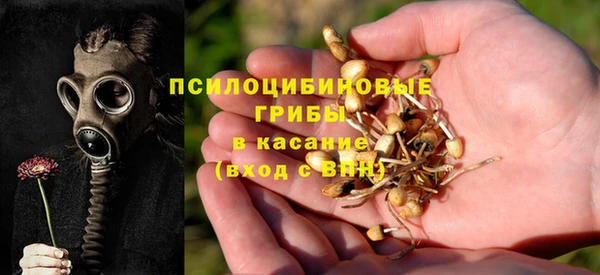 дмт Верхний Тагил