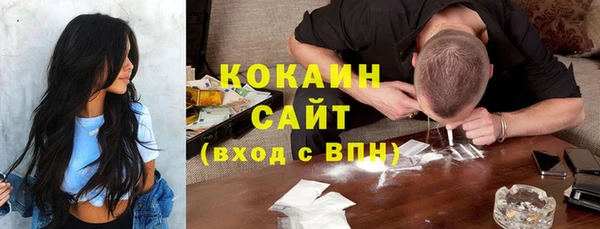 шишки Волосово
