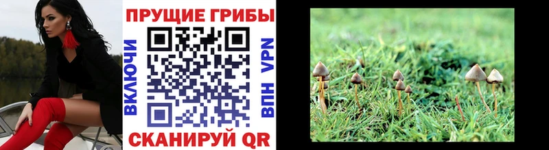 Галлюциногенные грибы прущие грибы  Далматово 